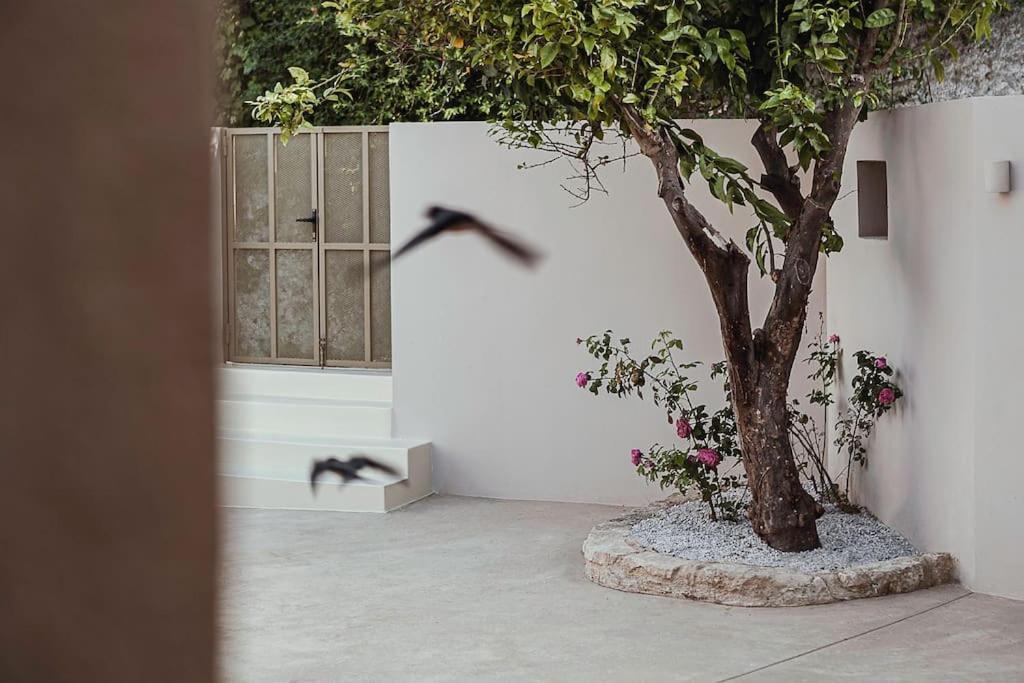 Villa Lotusland, A Relaxing House At Amari Rethymno Agia Fotini  Exterior foto